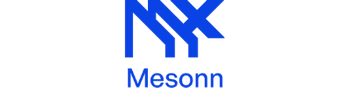 Mesonn.ai | A Biztech Partner