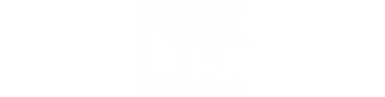 Mesonn.ai | A Biztech Partner
